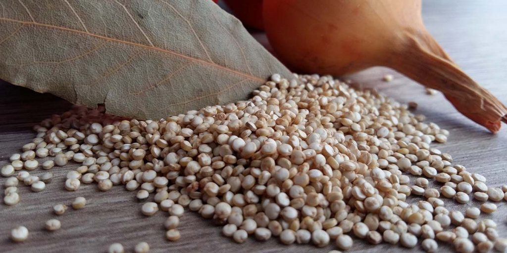 quinoa processing lines