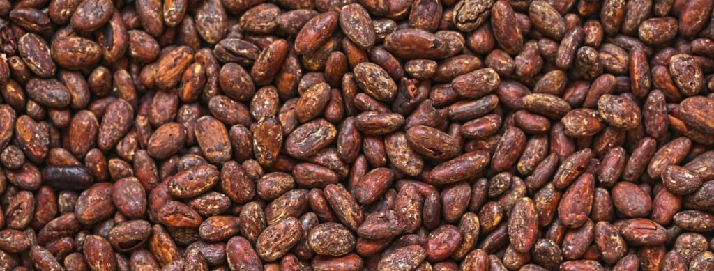 cocoa-beans-roasted